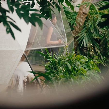 Lintang Luku Tent Resort Ijen, Banyuwangi Banyuwangi  Dış mekan fotoğraf