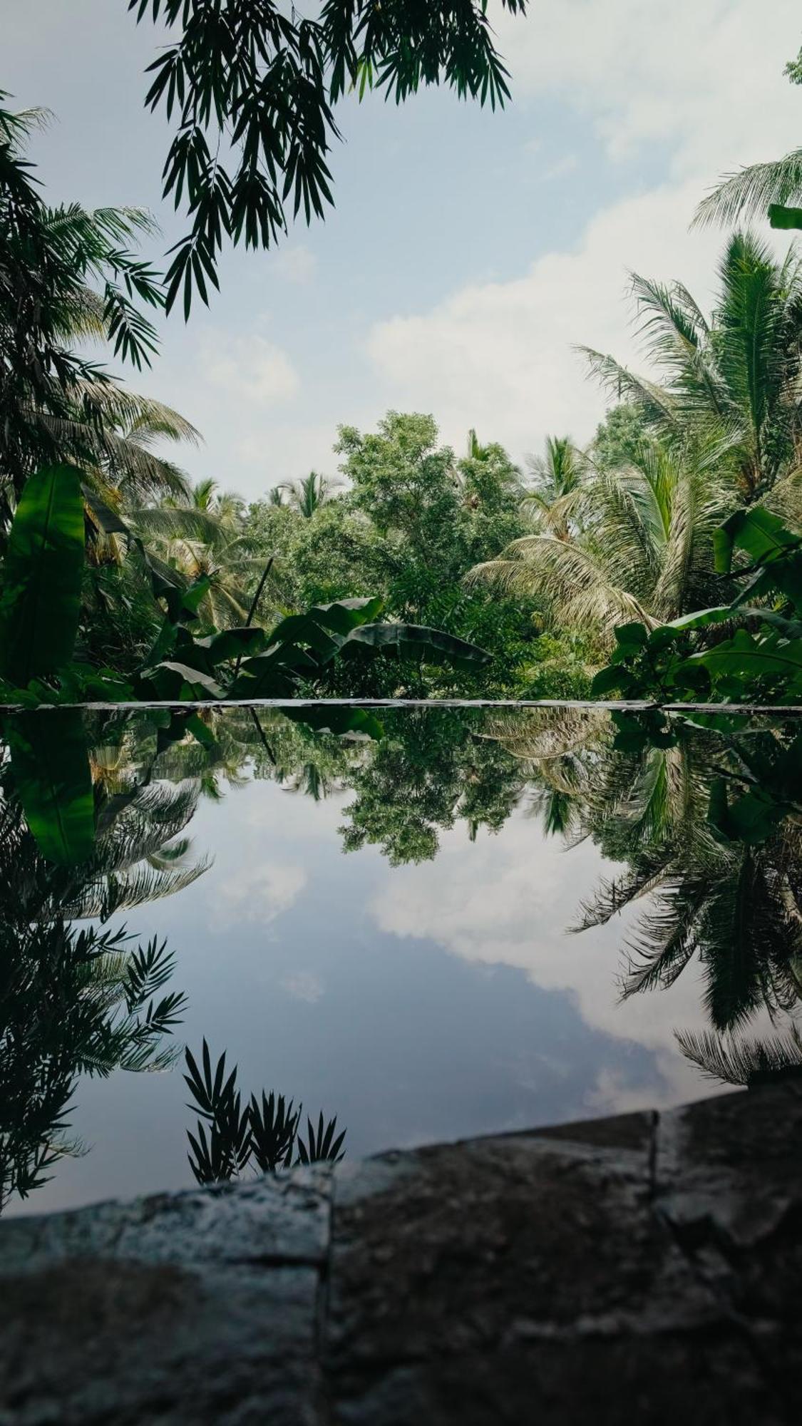 Lintang Luku Tent Resort Ijen, Banyuwangi Banyuwangi  Dış mekan fotoğraf